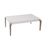 Hira Coffee Table - Image 4